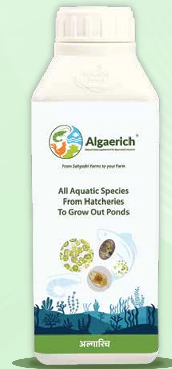 AlgaRich microalgae aquaculture supplement bottle